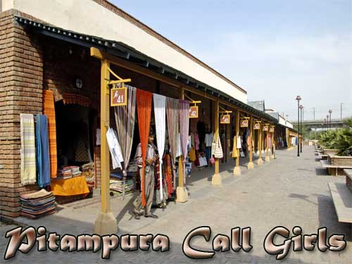 Pitampura Call Girls